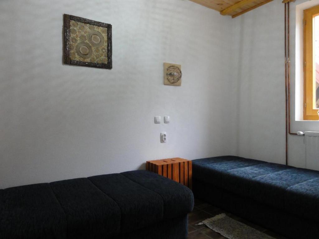 Staroplaninski Apartments Crni Vrh Εξωτερικό φωτογραφία