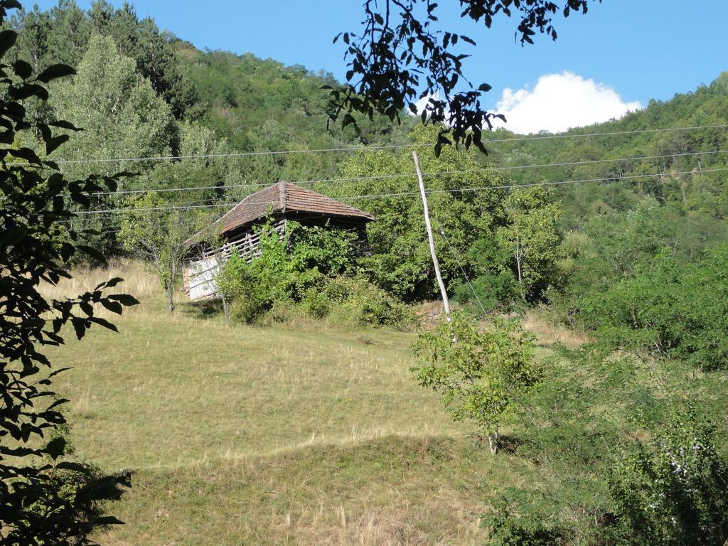 Staroplaninski Apartments Crni Vrh Εξωτερικό φωτογραφία